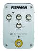Fishman AFX Reverb